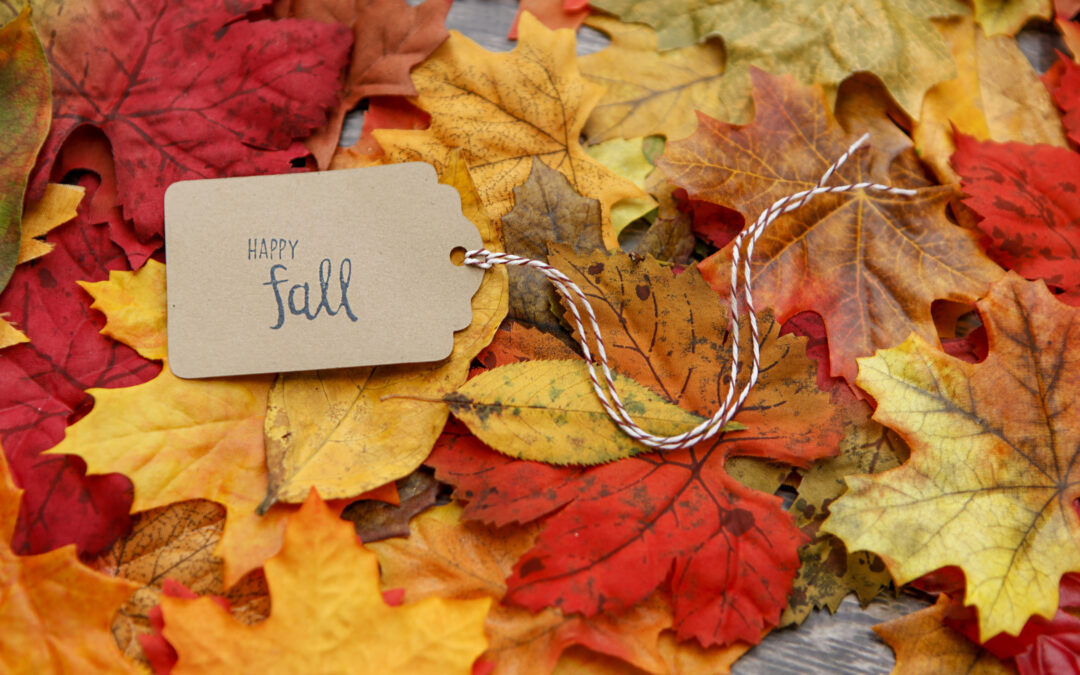 Enjoy a Safe and Healthy Fall Season