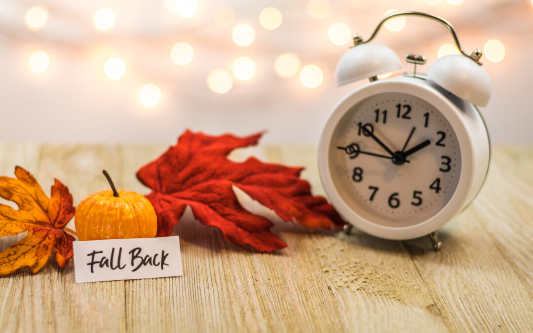 Day Light Savings Reminder