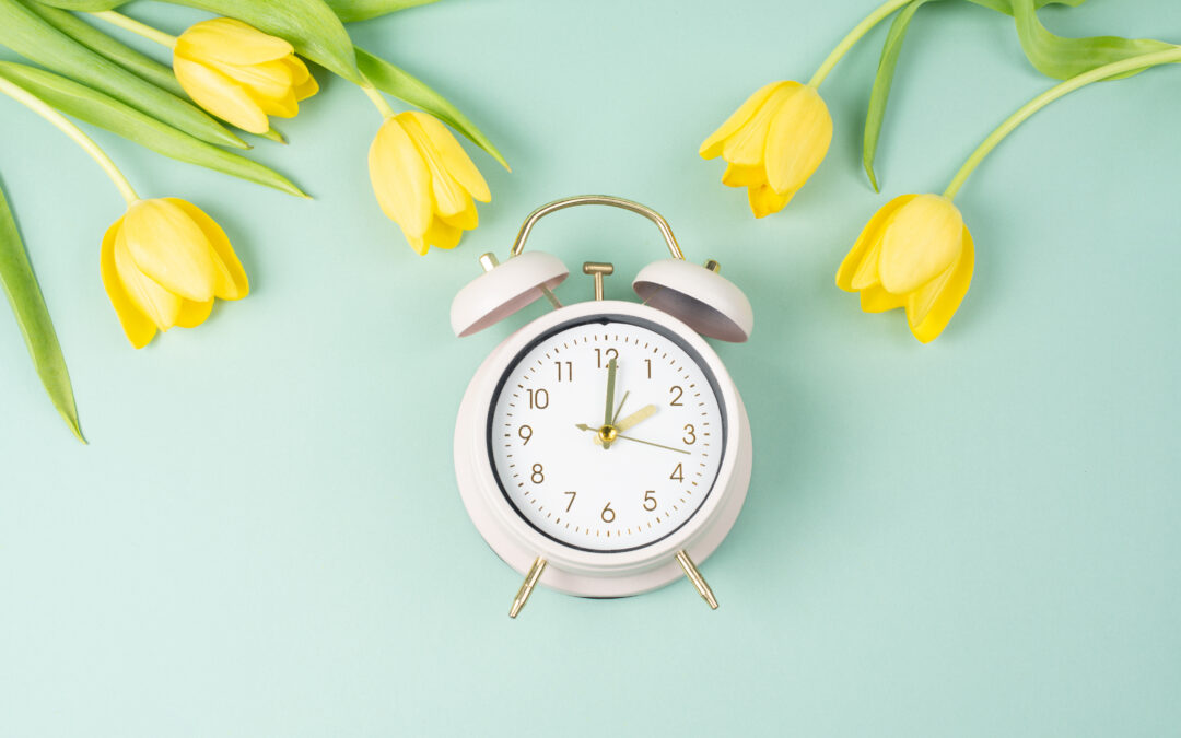 Daylight Savings Time 2025