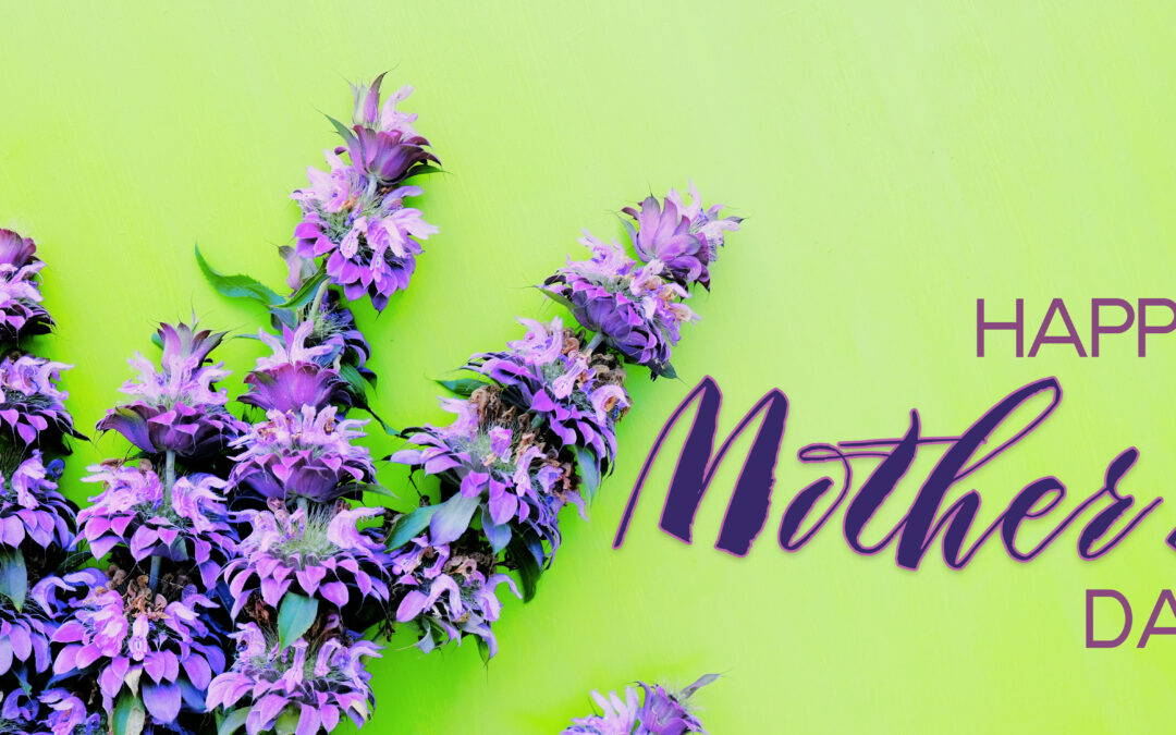 Mother’s Day 2025